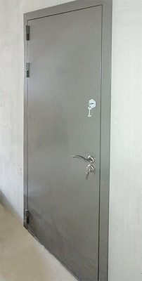 Серая порошковая дверь (г. Истра) Серая порошковая дверь (г. Истра)